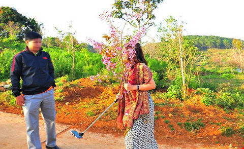 Bình Thuận yêu cầu phó giám đốc sở bẻ hoa phải xin lỗi - ảnh 1