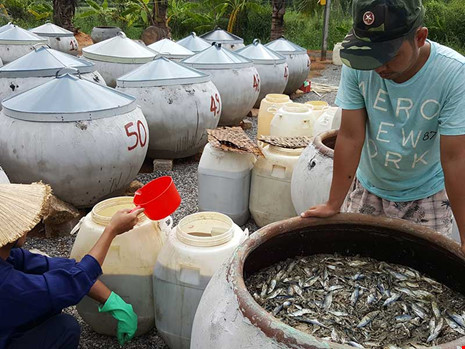Vụ nước mắm: Xem xét đình chỉ hoạt động của Vinastas - ảnh 2