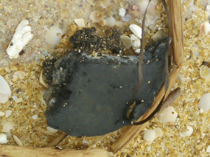 10 km bờ biển ngổn ngang vỏ chai nhãn Trung Quốc - ảnh 3