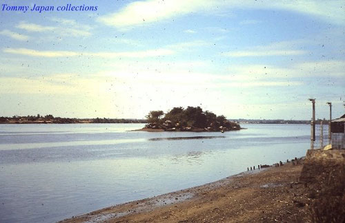 Bí ẩn Cù lao ‘biến mất’ trên sông Đồng Nai - ảnh 2