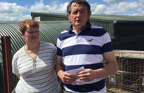 Ái Nhĩ Lan kỳ bí - Kỳ cuối: Làm giàu xoàng xĩnh kiểu Ái Nhĩ Lan - ảnh 1