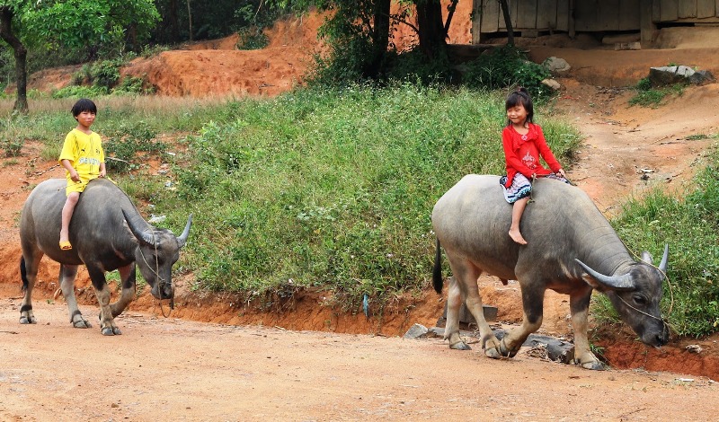 Ngôi làng H’Mông tuyệt đẹp giữa đại ngàn Tây Nguyên - ảnh 4