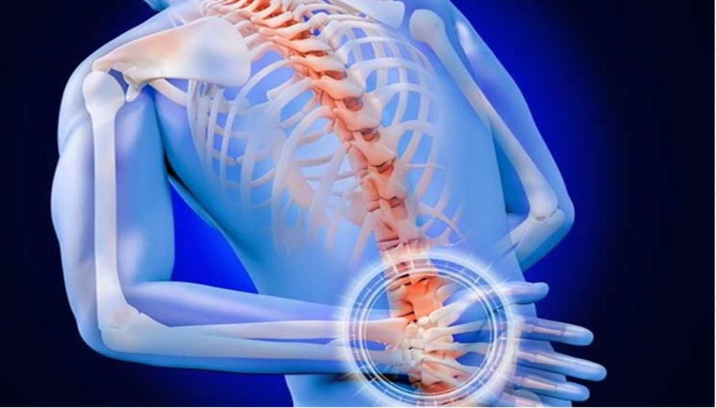 Đi đánh cá bị ... mực bạch tuộc cắn chết An ninh trật tự PLO